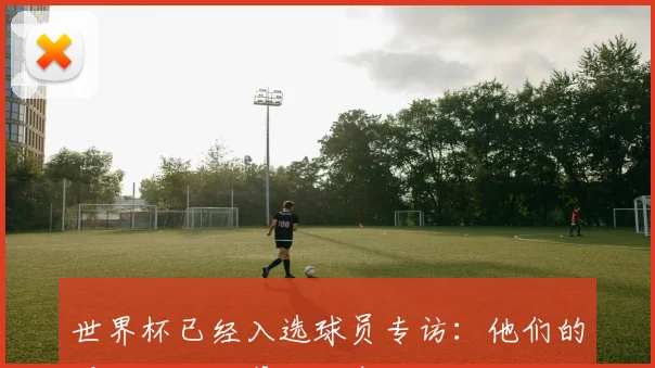 世界杯已经入选球员专访:他们的晋级之路与幕后故事