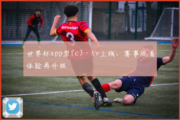 世界杯app架fc3·tv上线,赛事观看体验再升级