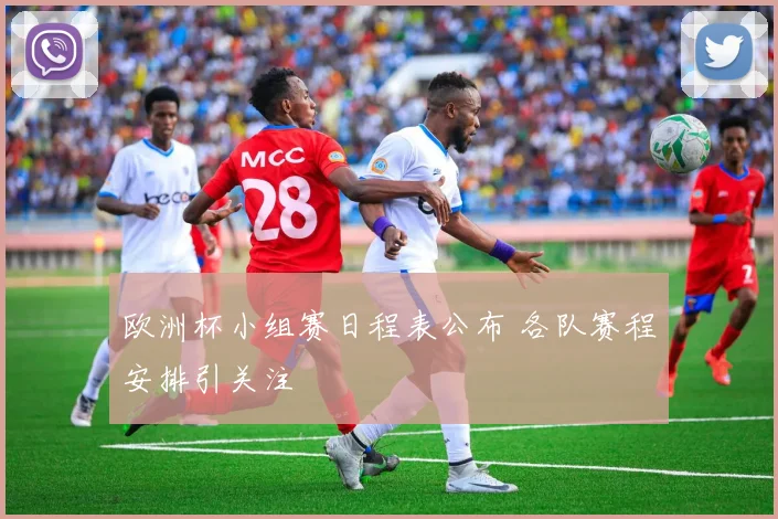 欧洲杯小组赛日程表公布 各队赛程安排引关注