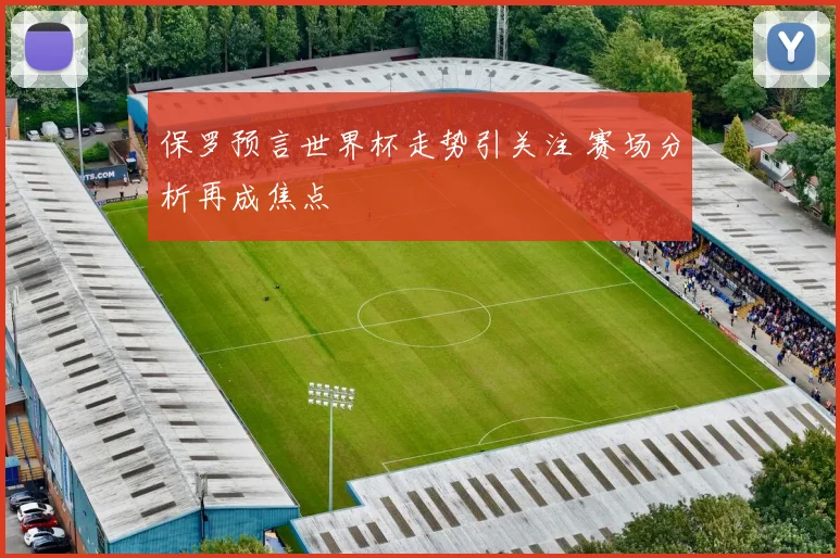 保罗预言世界杯走势引关注 赛场分析再成焦点