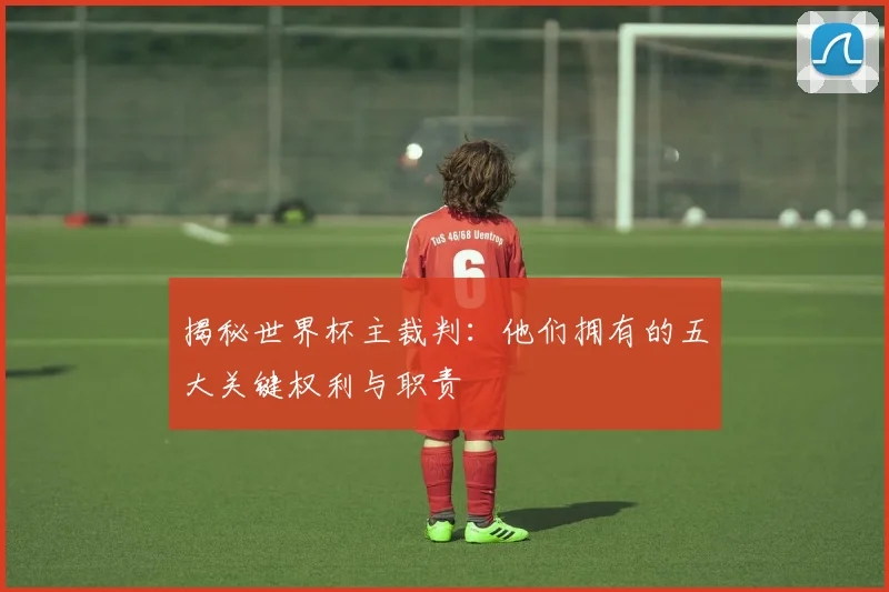 揭秘世界杯主裁判：他们拥有的五大关键权利与职责