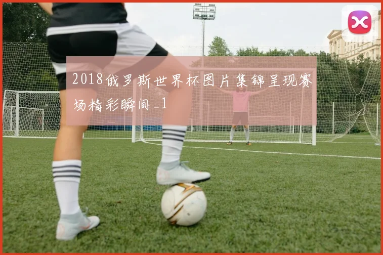 2018俄罗斯世界杯图片集锦呈现赛场精彩瞬间_1