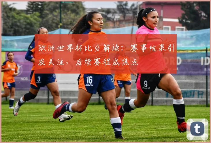 欧洲世界杯比分解读：赛事结果引发关注，后续赛程成焦点